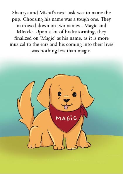 How Magic Found Us
